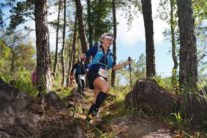 BIB: 
                            <button type="button" onclick="openModal(18916472)" class="btn btn-primary btn-sm float-right btn-popup" data-toggle="modal" data-target=".modal-high-quality">
                        <i class="fas fa-shopping-cart"></i> Add to Cart
                    </button>
                                            <button type="button" onclick="isThisMe(18916472, true)" class="btn btn-success btn-sm float-right btn-popup btn-isme hidden" data-toggle="tooltip" data-placement="bottom" title="นี่คือรูปของคุณใช่ไหม คลิกที่นี่เพื่อเอาเข้าอัลบั้ม">
                        <i class="fas fa-plus"></i> Add to album
                    </button>
                    <button type="button" onclick="isThisMe(18916472, false)" class="btn btn-warning btn-sm float-right btn-popup btn-isnotme hidden">
                        <i class="fas fa-ban"></i> Remove from album
                    </button>